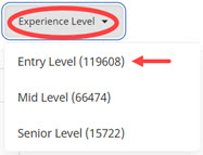 Indeed Experience Level Options