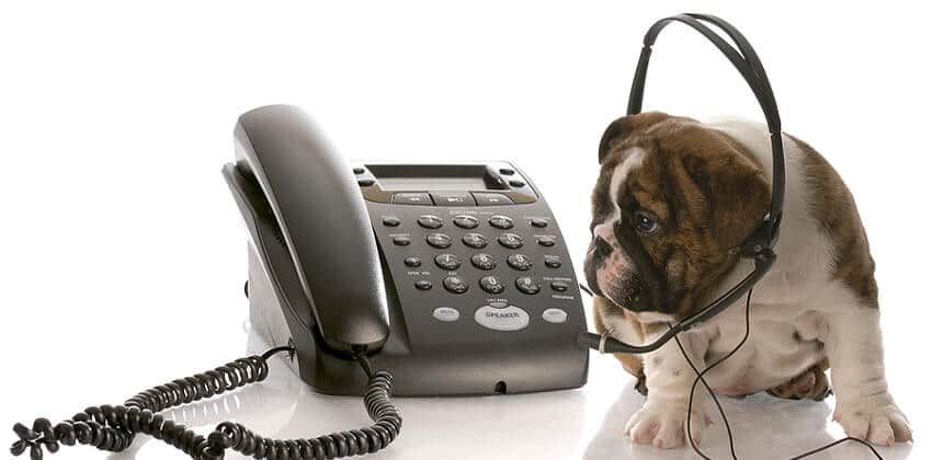 Phone Interview Success Tips